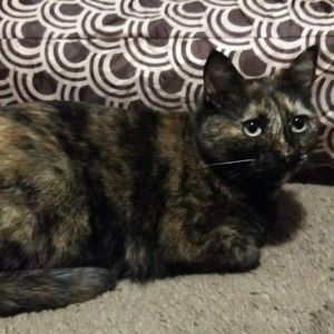 Meet your Posher, Angie g